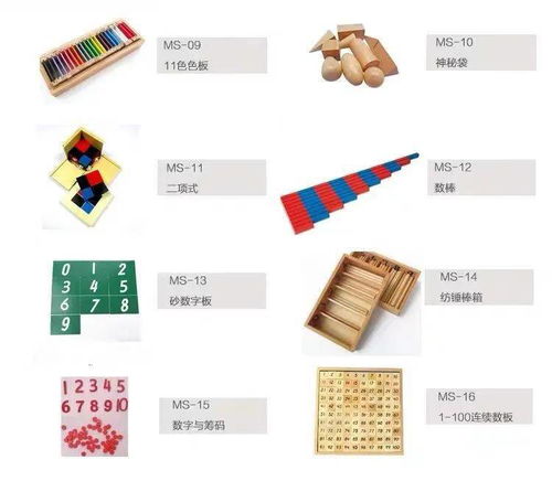 知数明理，悦学育儿 幼儿数学启蒙教育的新篇章